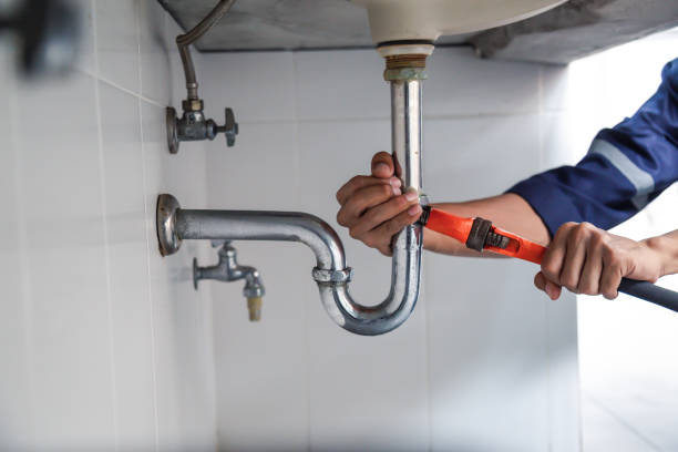 Best Sewer Line Repair  in Trinity, FL