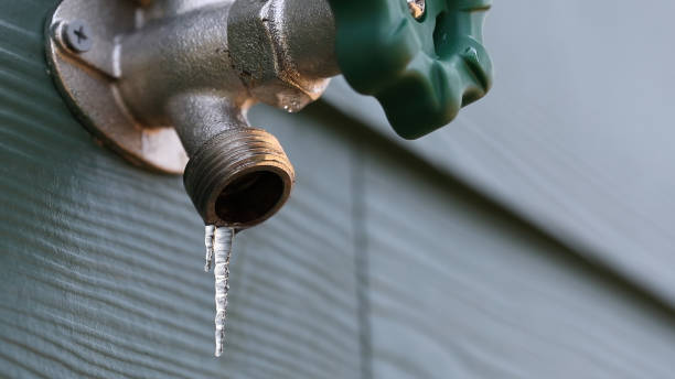 Best Plumbing Installation Services  in Trinity, FL