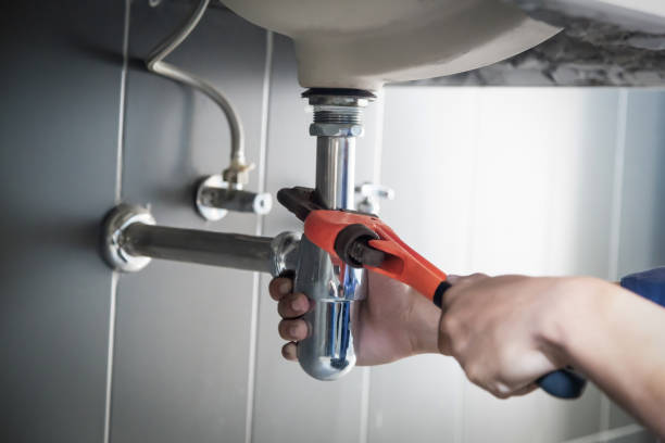 Best Plumbing Repair Near Me  in Trinity, FL