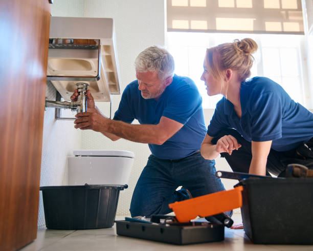 Best Residential Plumbing Services  in Trinity, FL